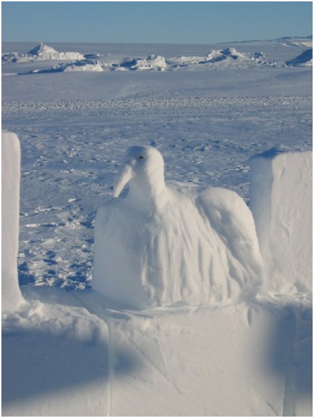 carved penguin